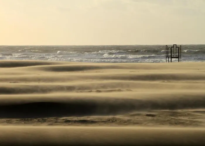 Les Paquerettes Ostende