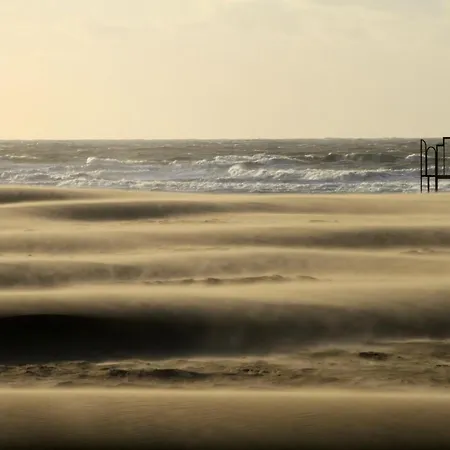 Les Paquerettes Ostend
